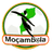 VĐQG Mozambique