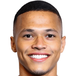 Darlan Pereira Mendes avatar