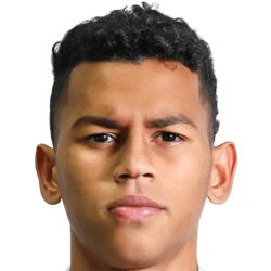 Fernando Henrique do Nascimento Pereira avatar