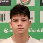 Tóth Milán László avatar