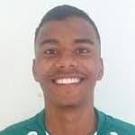 Matheus Bonadiman Serafim avatar