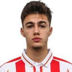Nikola Mituljikić avatar