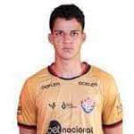 Pedro Antonio Alves Marinho avatar