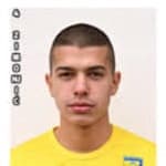 Vahid Zimonjić avatar