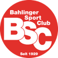 Team Logo