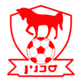 Team Logo