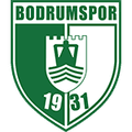 Team Logo