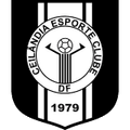 Team Logo