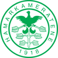 Team Logo