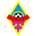 Team Logo