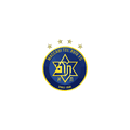 Team Logo