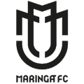 Team Logo