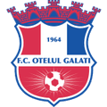 Team Logo