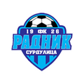 Team Logo