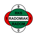 Team Logo