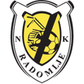 Team Logo