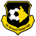 Team Logo