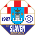 Team Logo