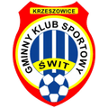 Team Logo